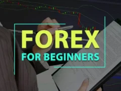 Amazing: How to start trading forex for beginners